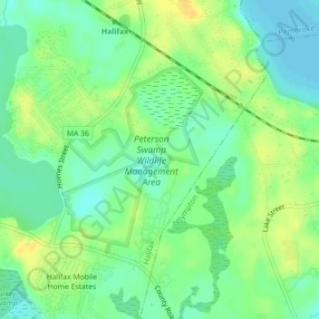 Topografische Karte Peterson Swamp, Höhe, Relief