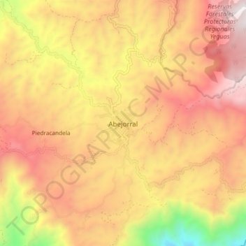 Topografische Karte Abejorral, Höhe, Relief