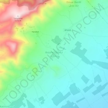 Topografische Karte Rislane, Höhe, Relief