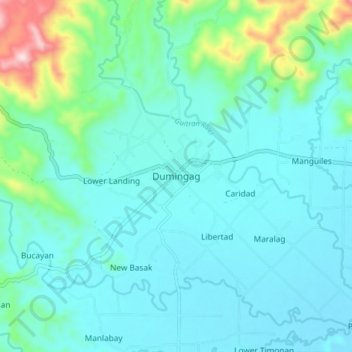 Topografische Karte Dumingag, Höhe, Relief
