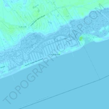 Topografische Karte Futch Beach, Höhe, Relief