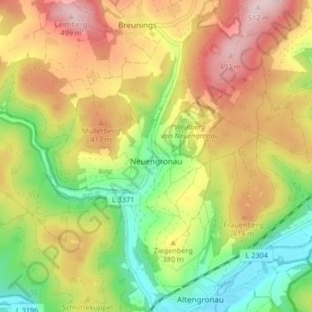Topografische Karte Neuengronau, Höhe, Relief