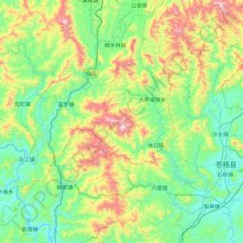 Topografische Karte 大桂山, Höhe, Relief